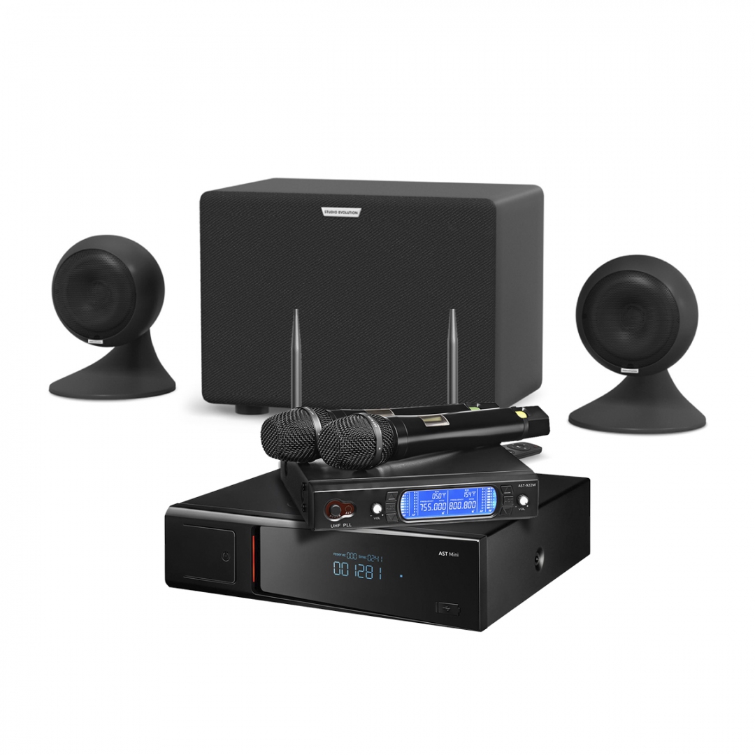 караоке-комплект AST Mini Sound Sphere в Северной Осетии