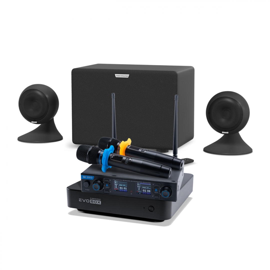 караоке-комплект EVOBOX + EvoSound Sphere 2.1 в Северной Осетии