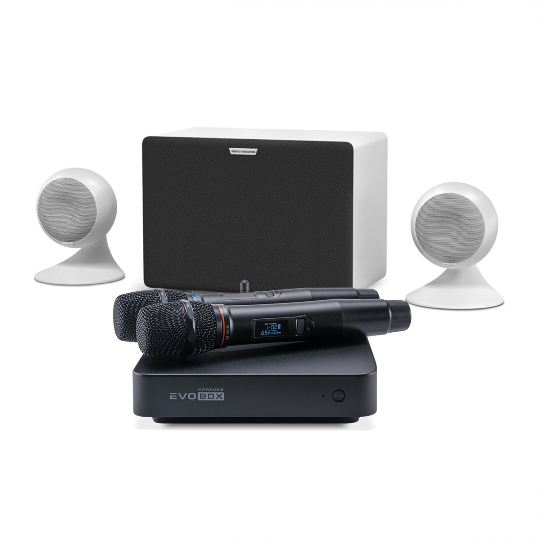 караоке-комплект EVOBOX Classic + EvoSound Sphere 2.1 в Северной Осетии