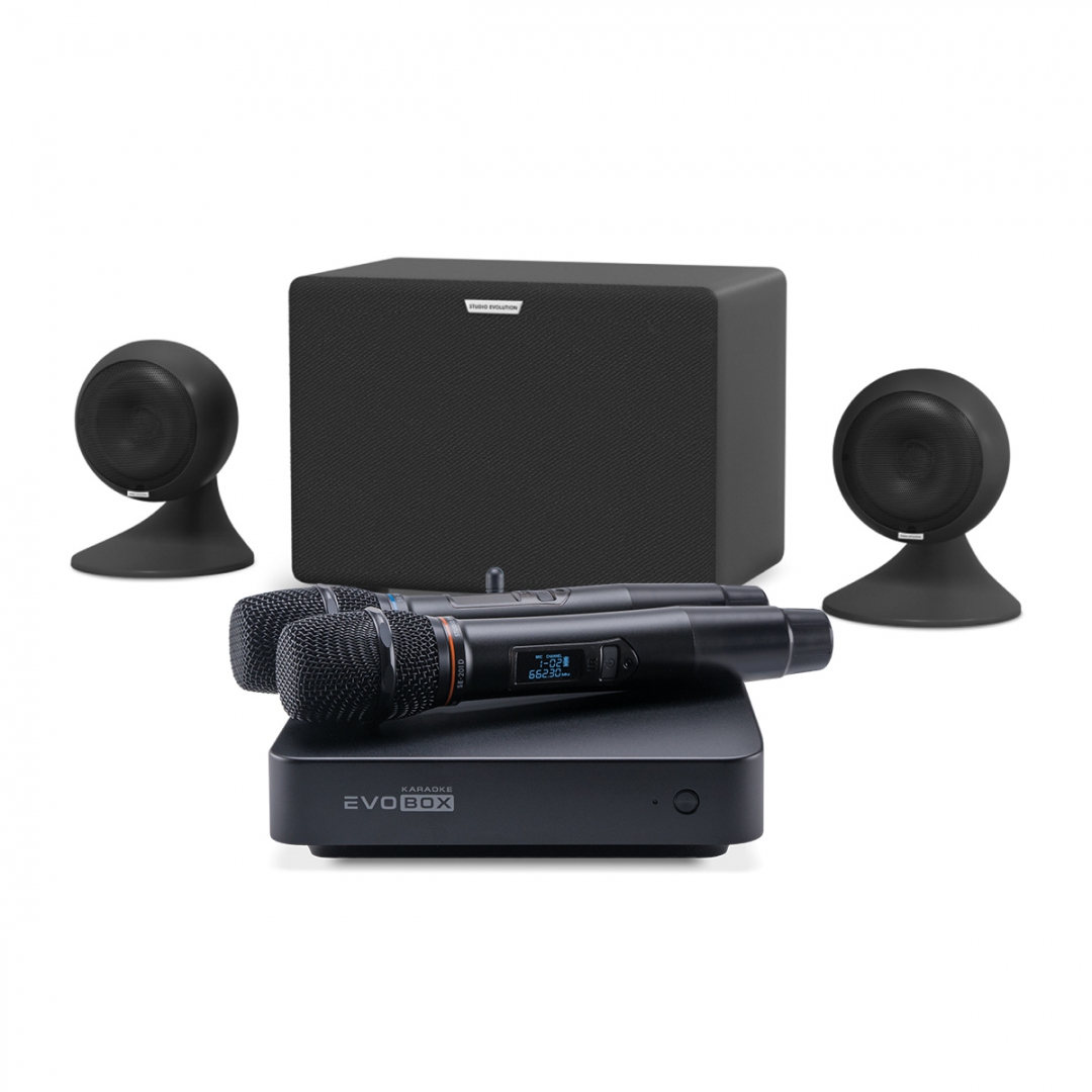 караоке-комплект EVOBOX Plus + EvoSound Sphere 2.1 в Северной Осетии
