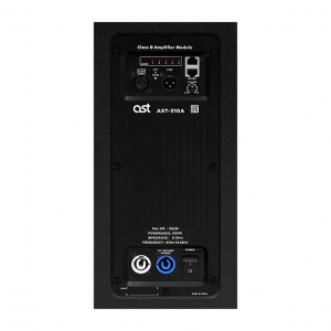 Активная акустическая система AST-310A в Северной Осетии