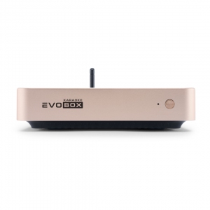 EVOBOX Plus караоке-система для дома в Северной Осетии